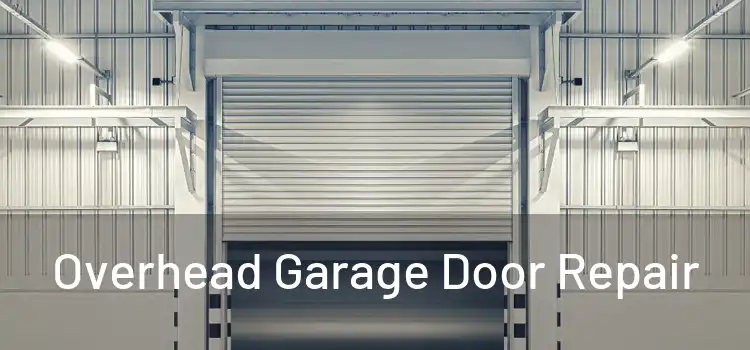  Overhead Garage Door Repair 